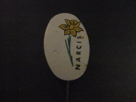 Narcis trompetbloem voorjaarsbloem